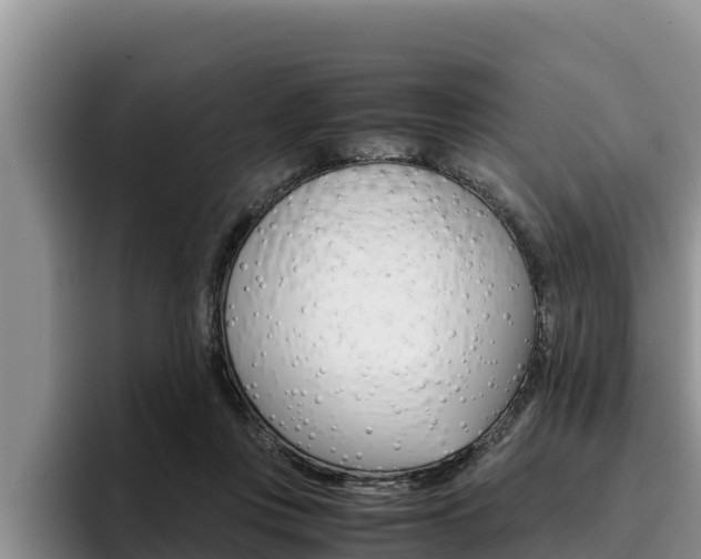 X0000096220359200801181034