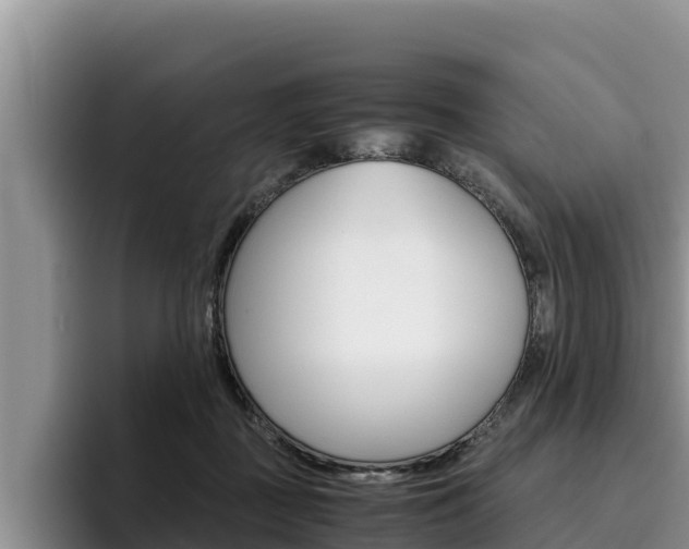 X0000096220363200801181034