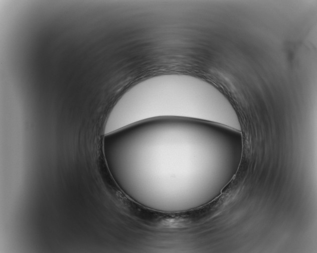 X0000096220364200801181034