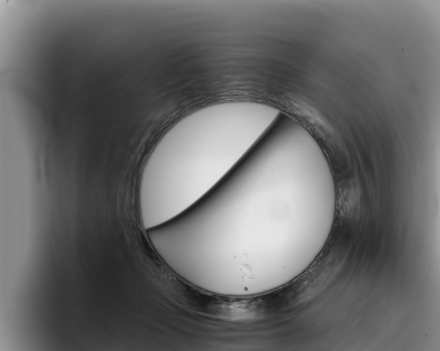 X0000096220365200801181034