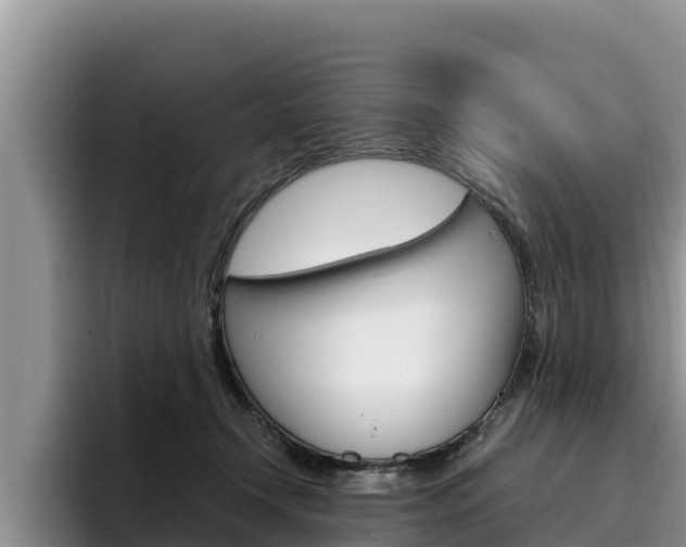 X0000096220366200801181034