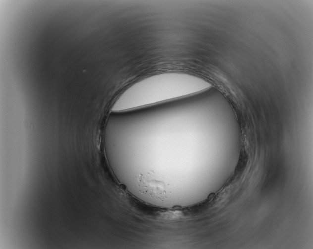 X0000096220374200801181034