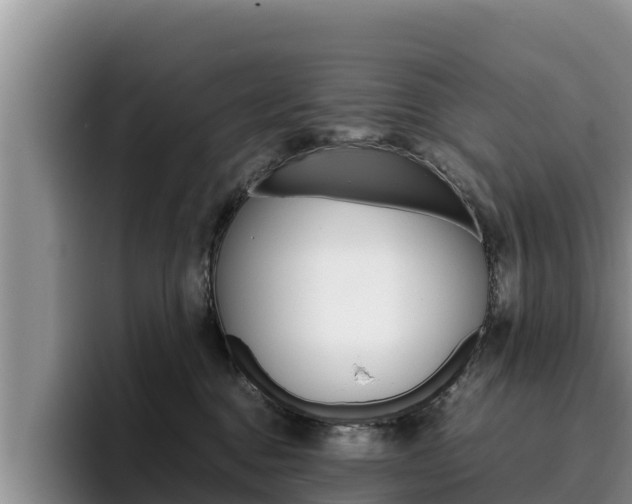 X0000096220376200801181034