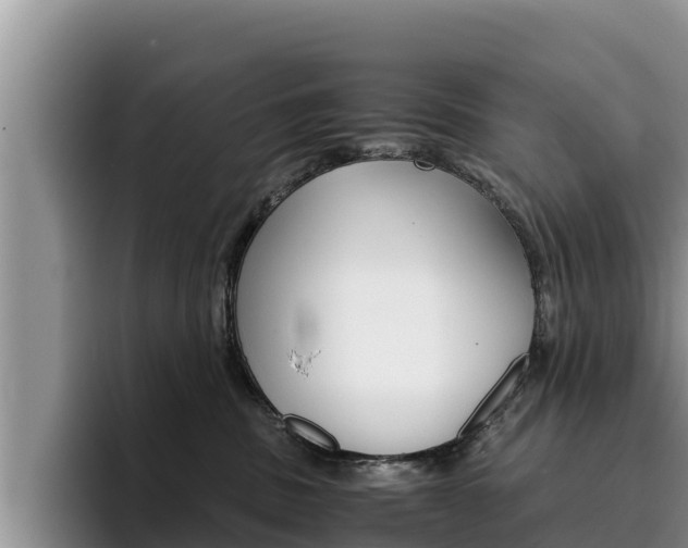 X0000096220379200801181034