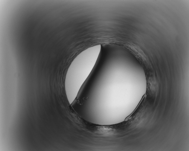 X0000096220380200801181034