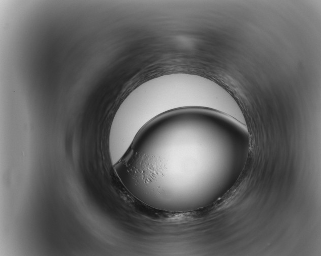 X0000096220382200801181034
