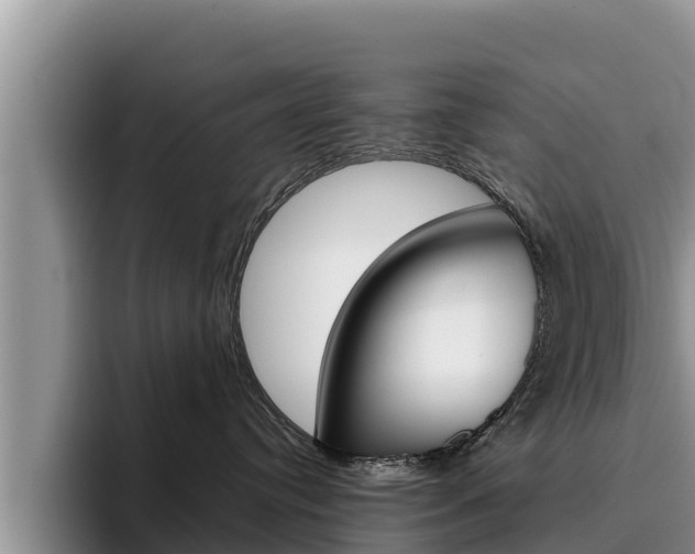 X0000096220384200801181034