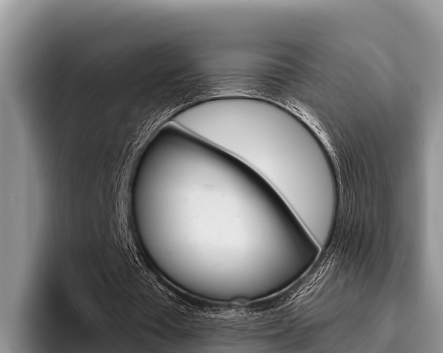X0000096220385200801181034