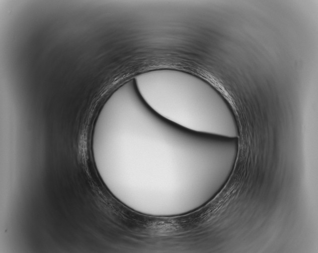 X0000096220386200801181034