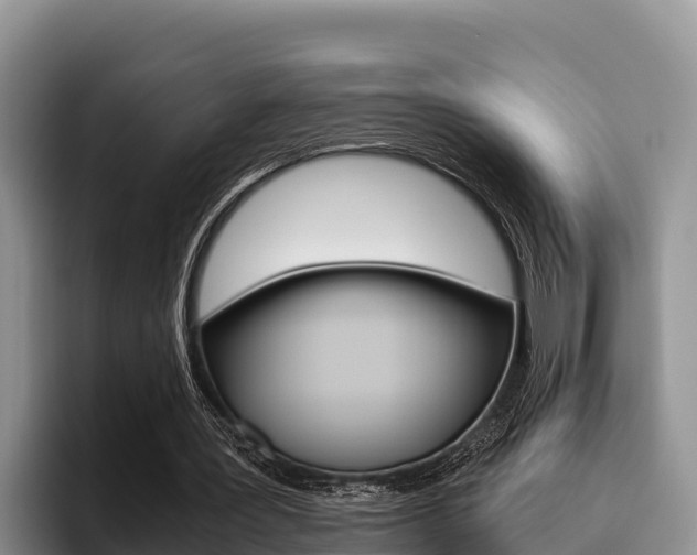 X0000096220387200801181034