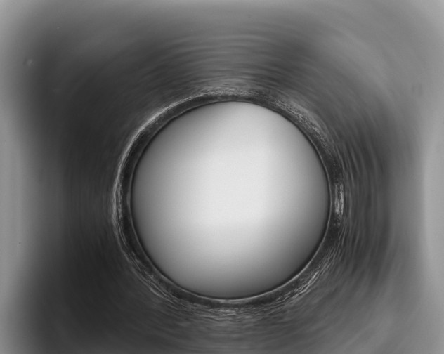 X0000096220388200801181034