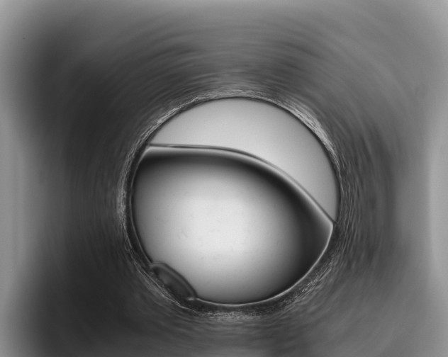 X0000096220389200801181034