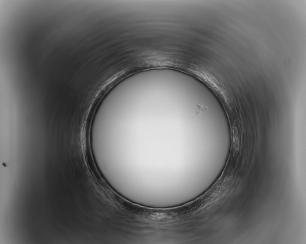 X0000096220390200801181033
