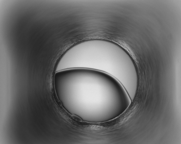 X0000096220393200801181033