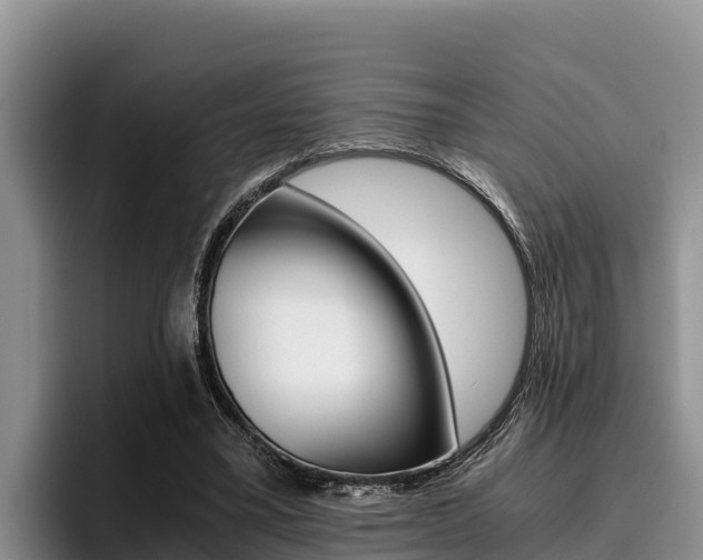X0000096220395200801181033
