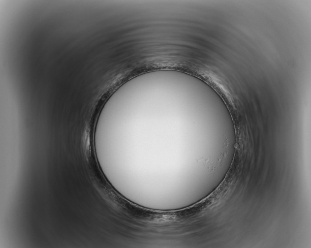 X0000096220398200801181033
