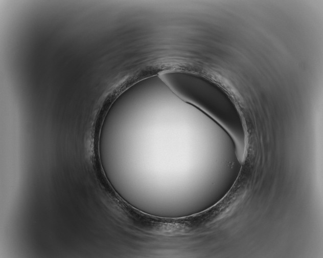 X0000096220399200801181033
