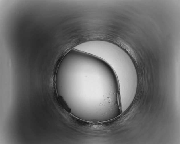 X0000096220401200801181033