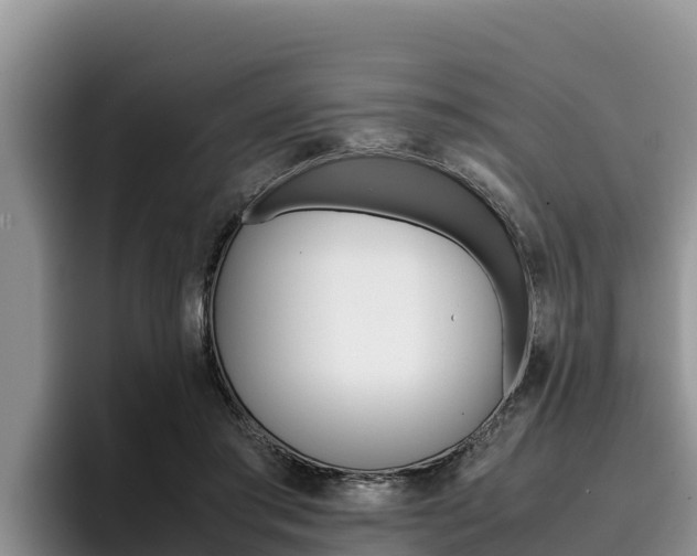 X0000096220405200801181033