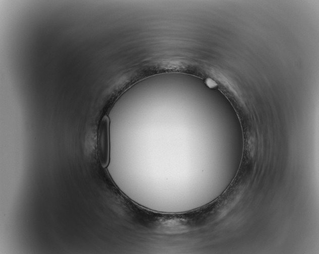 X0000096220407200801181033