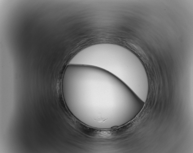 X0000096220409200801181033