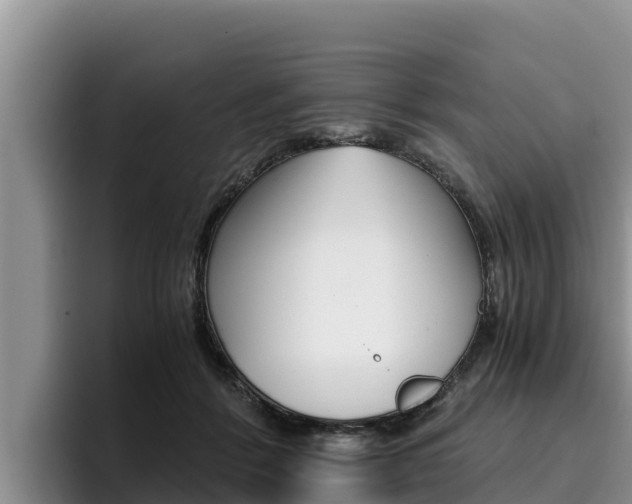 X0000096220412200801181033