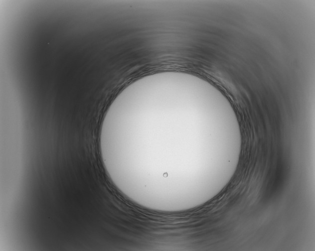 X0000096220413200801181033