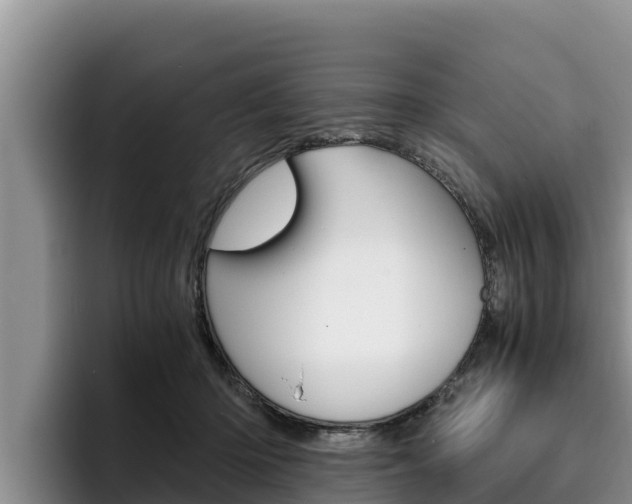 X0000096220414200801181033
