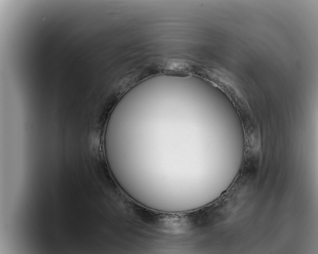 X0000096220415200801181033