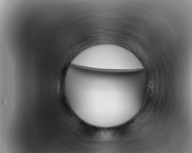 X0000096220416200801181033