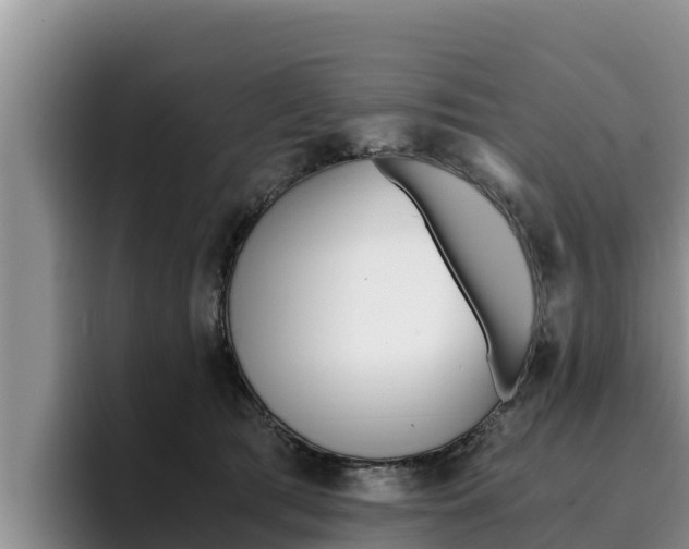 X0000096220417200801181033