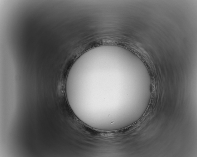 X0000096220419200801181033