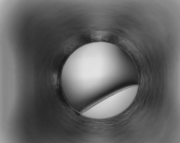 X0000096220420200801181033