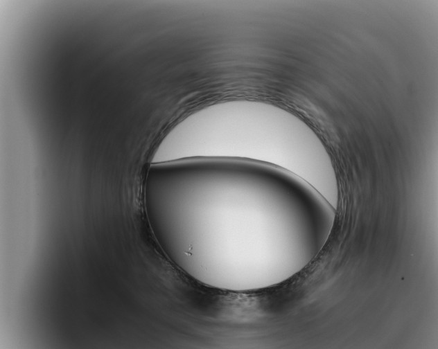 X0000096220421200801181033