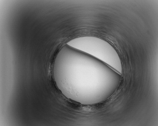 X0000096220423200801181033