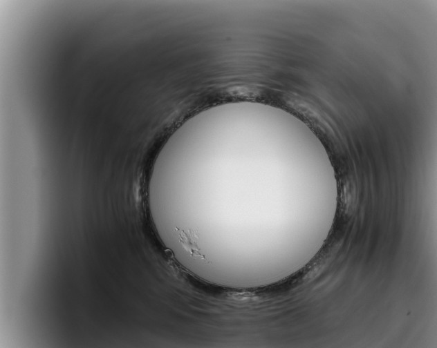 X0000096220424200801181033