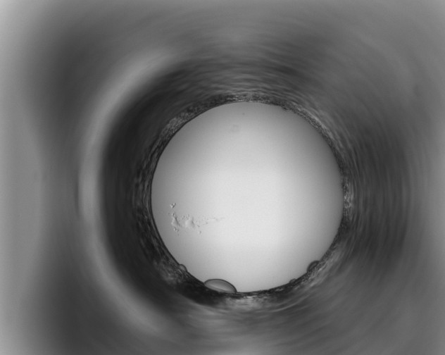 X0000096220430200801181033