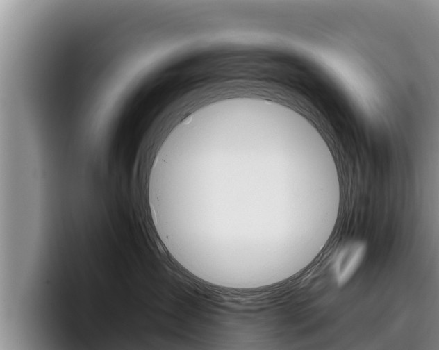 X0000096220431200801181033