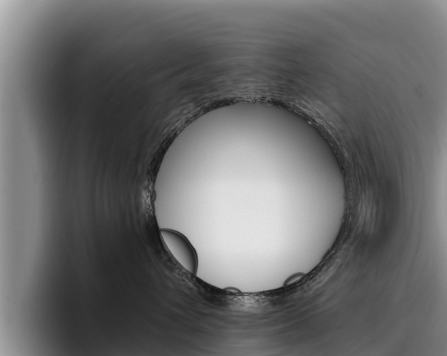 X0000096220432200801181033