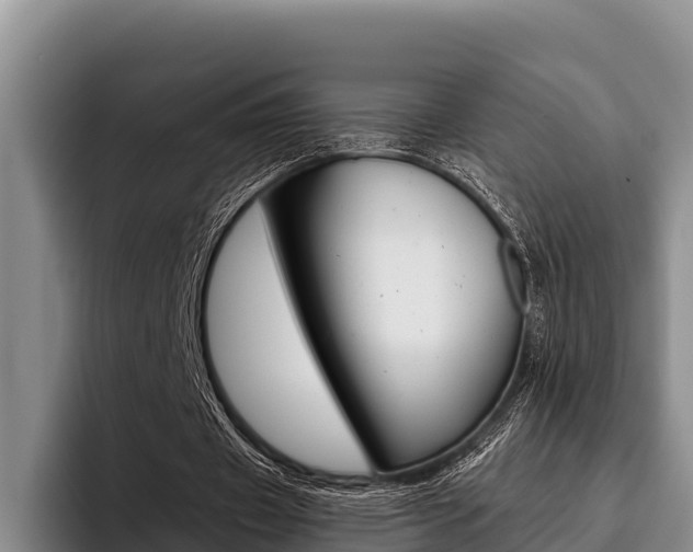 X0000096220433200801181032