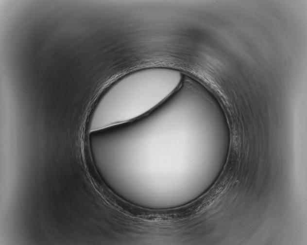 X0000096220434200801181032