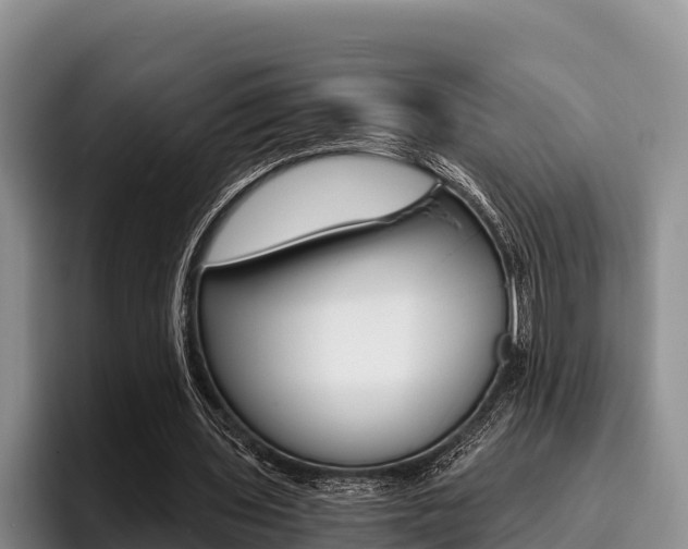 X0000096220435200801181032