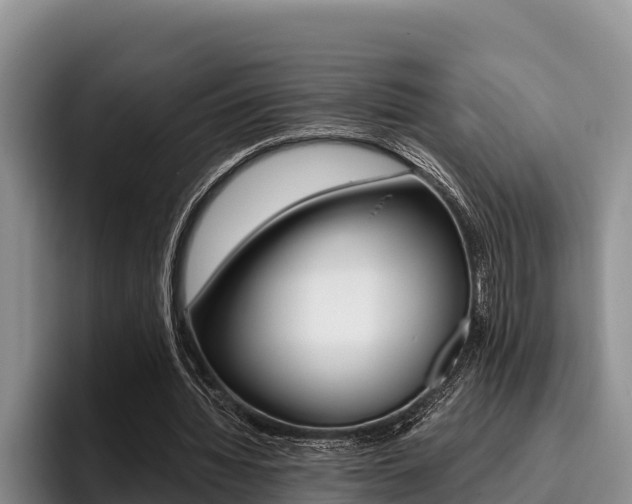 X0000096220436200801181032