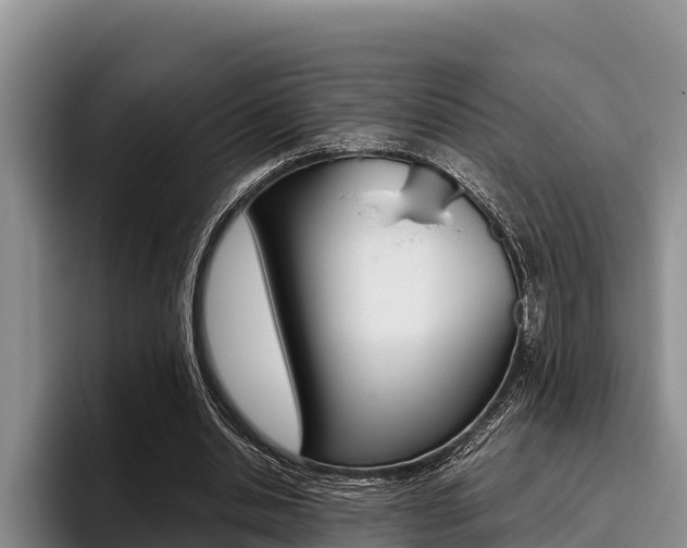 X0000096220438200801181032