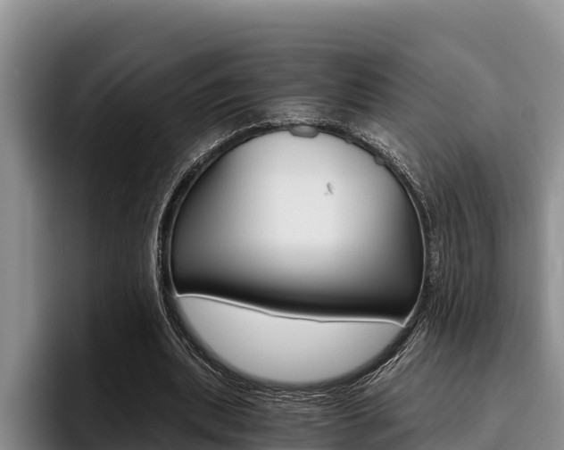 X0000096220439200801181032
