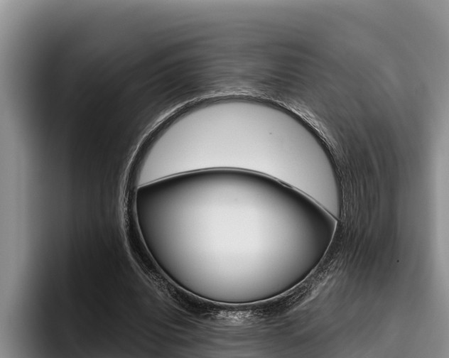 X0000096220440200801181032