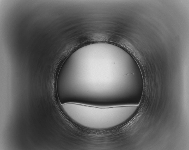 X0000096220441200801181032