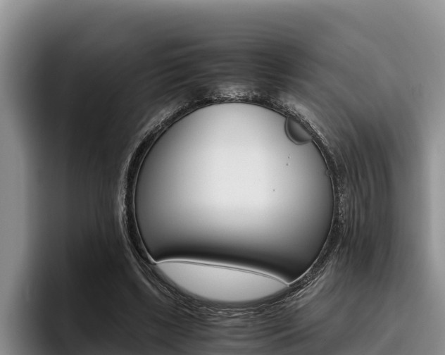 X0000096220443200801181032