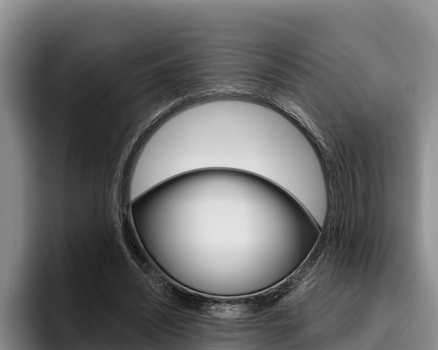 X0000096220444200801181032