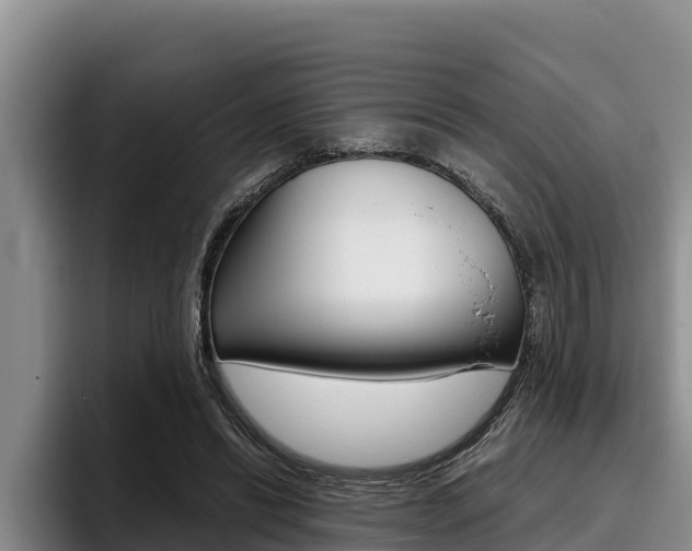 X0000096220446200801181032